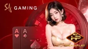 baccarat (4)